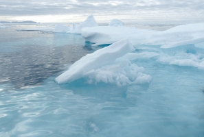 Icebergs, Banquise, et  Fjord
